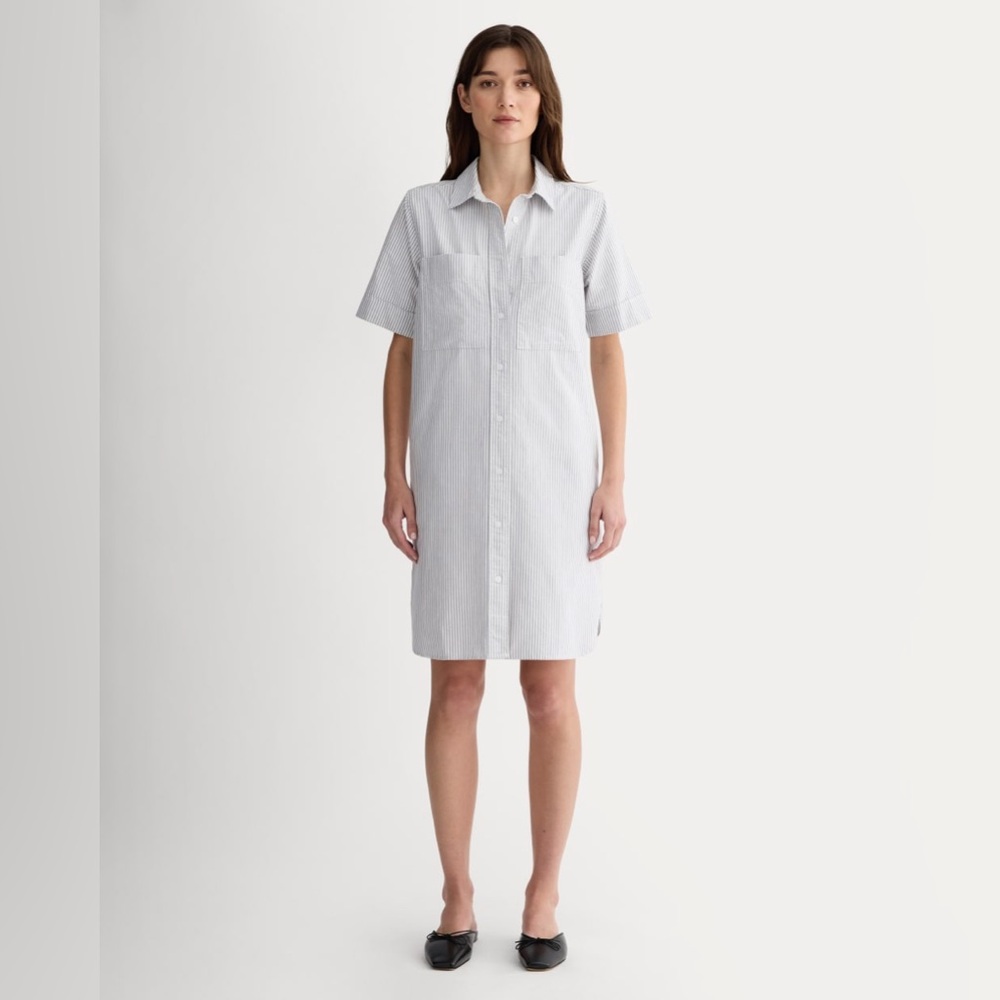 Everlane Oxford White with Gray Pinstripe Button-Front Shirt Dress